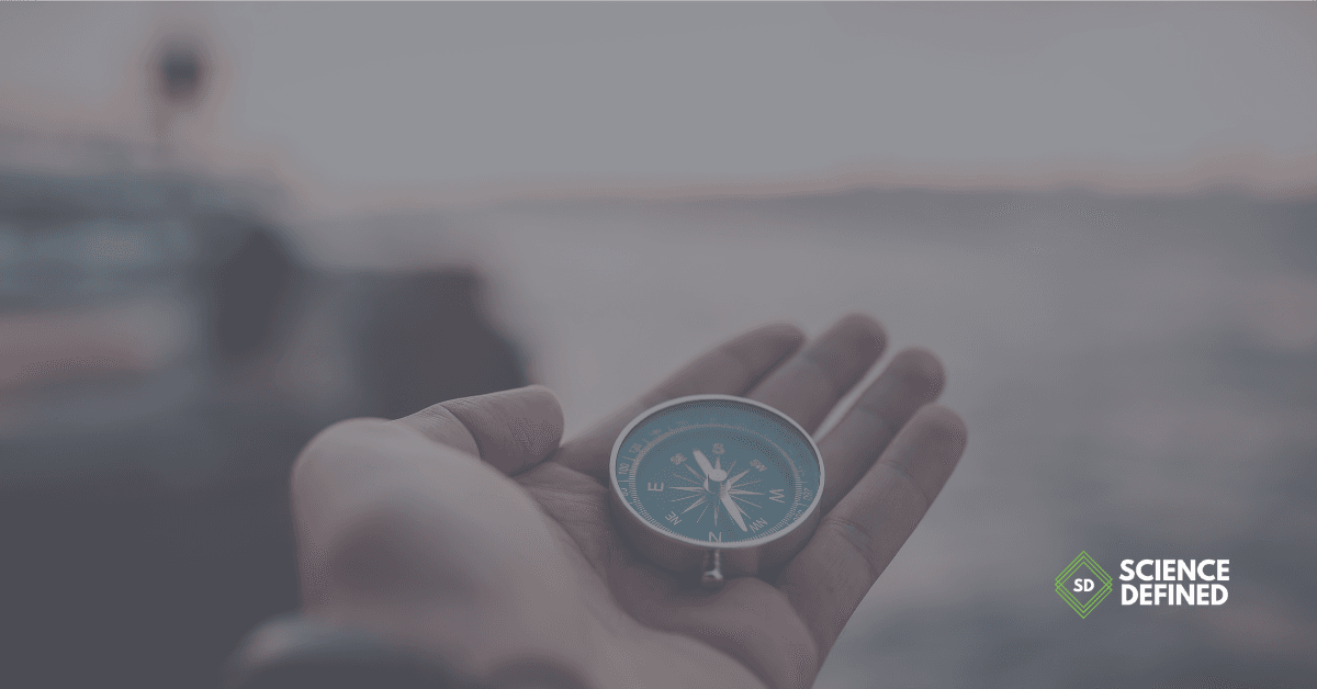 Unlock Efficiency: Trim Research Time By Learning To Navigate Papers